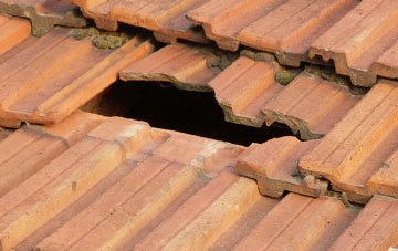 roof repair Brynteg