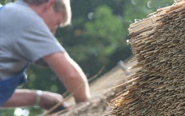 professional Brynteg thatchers