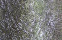 Brynteg fibreglass roof work